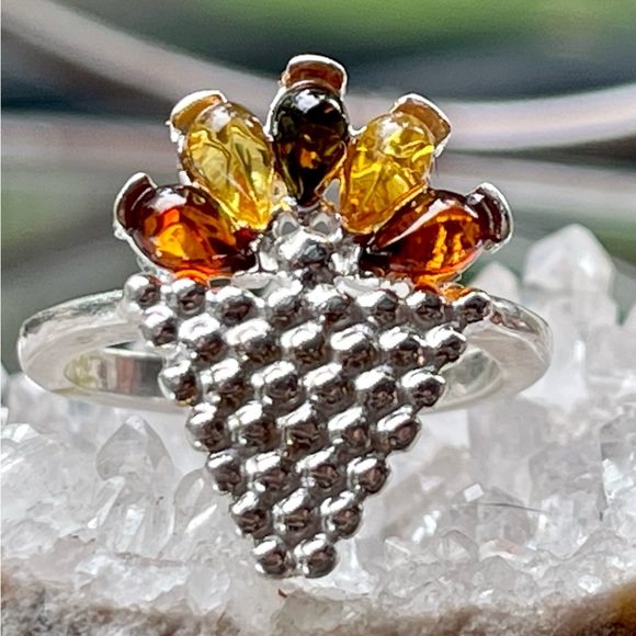 4.2g Genuine Multi-Color Baltic Amber Ring | sz 6